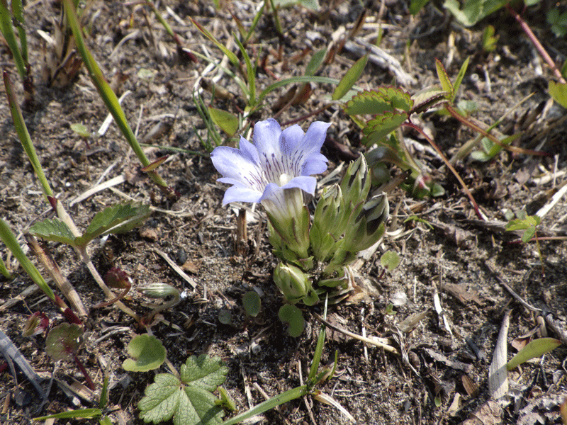 2026年3月31日　明日から公開