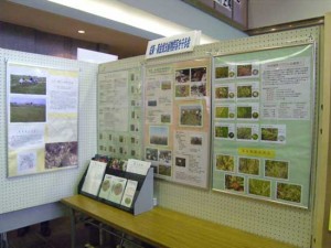 パネル展示（成東・東金食虫植物群落を守る会）